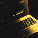 Leveraging USDC for Supplier Payments and Payroll