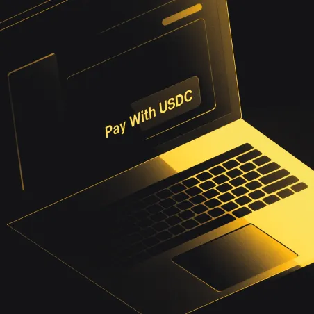 Leveraging USDC for Supplier Payments and Payroll